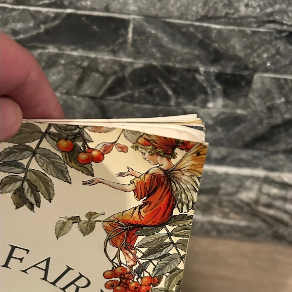 The Flower Fairies‎ Sticker Activity Book